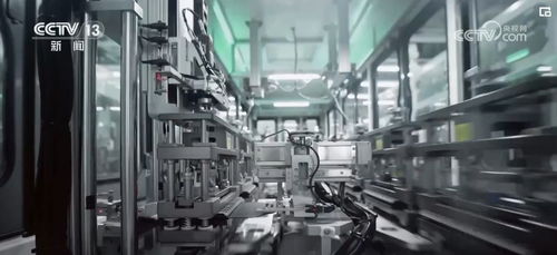 搶占先機，強化品牌 外貿企業以“新”為翼，提升出口競爭力